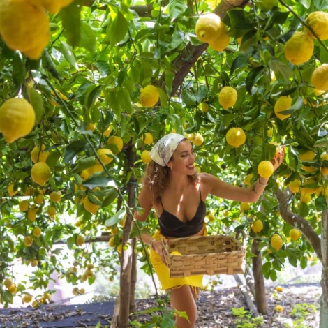 La-Pergola-Amalfi-Lemon-Happy-Hour-4